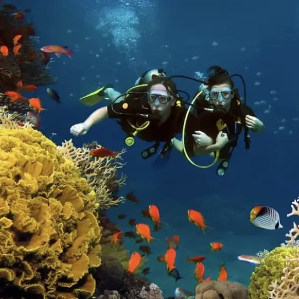 Early scuba diving discover over a coral reef in Seychelles An instructor guiding a student during one of their first scuba dives above a colorful coral reef surrounded by tropical fish.